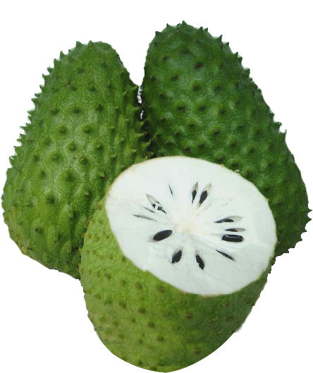 Benefits of the graviola 2018. Also known as soursop