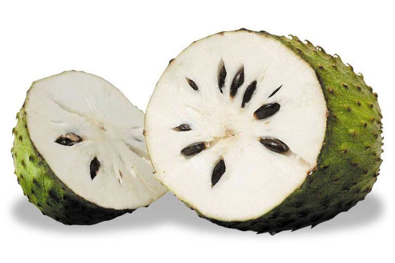 11 important benefits of Graviola fruit for your health and wellness. 11 important benefits of Graviola fruit for your health and wellness.